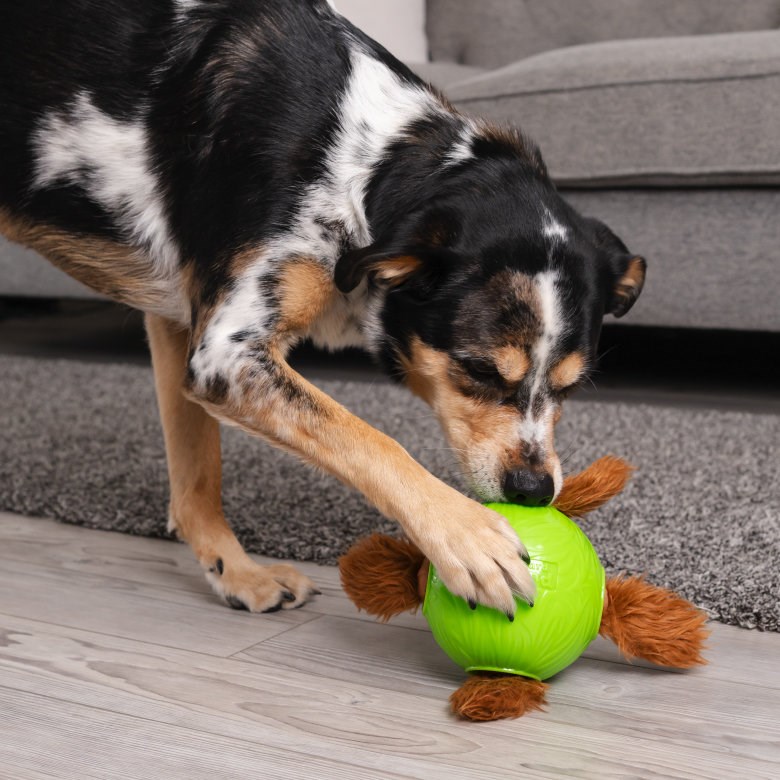 ONina Ottosson Snuffle N'Trt Ball Eğitici Köpek Ödül Topu, Köpek Ödül ve Oyun Topu, Petstages