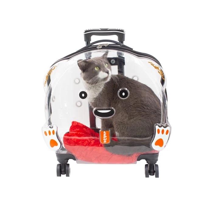 Petpretty Tekerlekli Şeffaf Kedi Köpek Taşıma Çantası, Taşıma Çantaları Kafesler, Pet Pretty