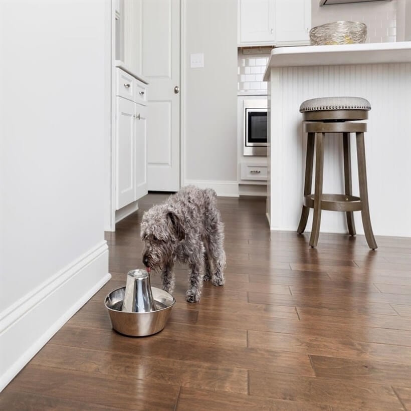 PetSafe Seaside 1.8 Lt. Paslanmaz Çelik Su Pınarı