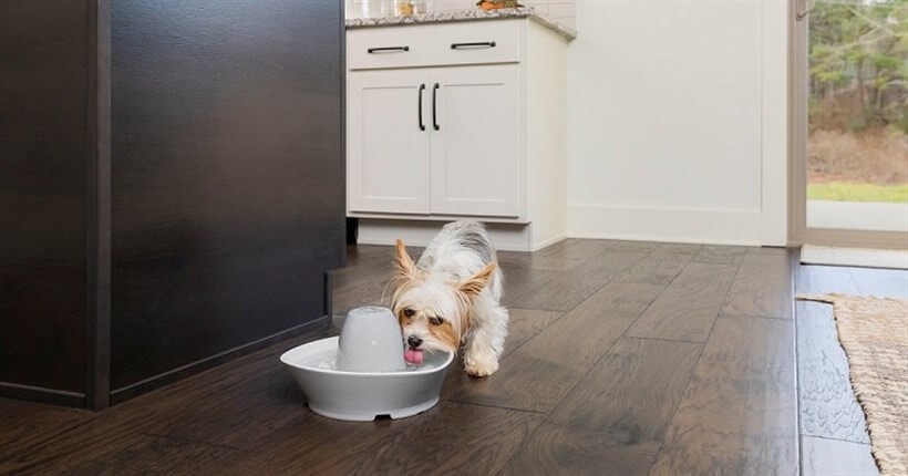 PetSafe Streamside Seramik Su Pınarı 1,8 Lt