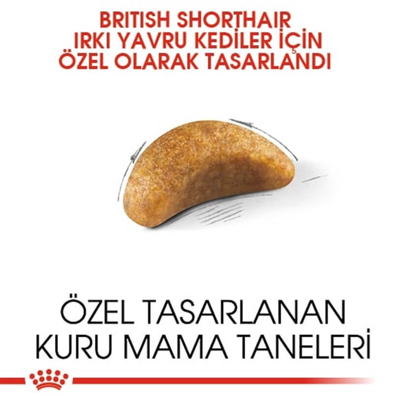 Royal Canin Feline Kitten British Shorthair Yavru Kedi Maması 2 Kg