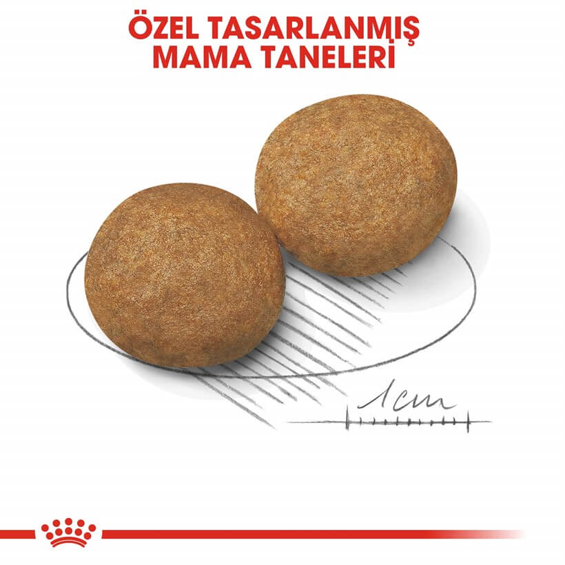 Royal Canin Medium Adult Orta Irk Yetişkin Köpek Kuru Maması 15 Kg