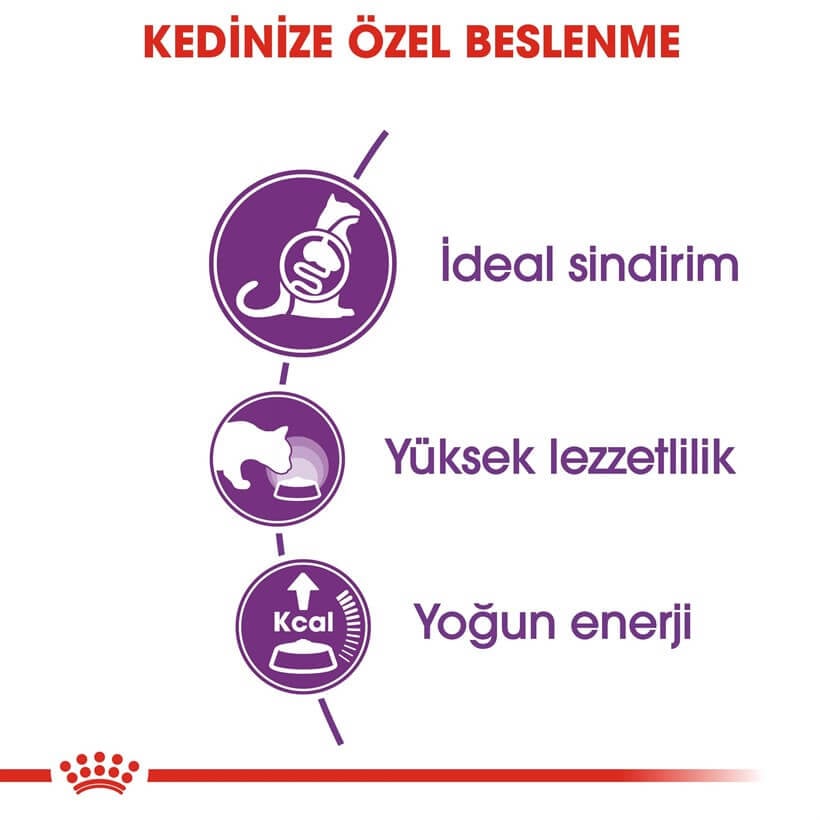 Royal Canin Sensible 33 Kuru Kedi Maması 400 Gr