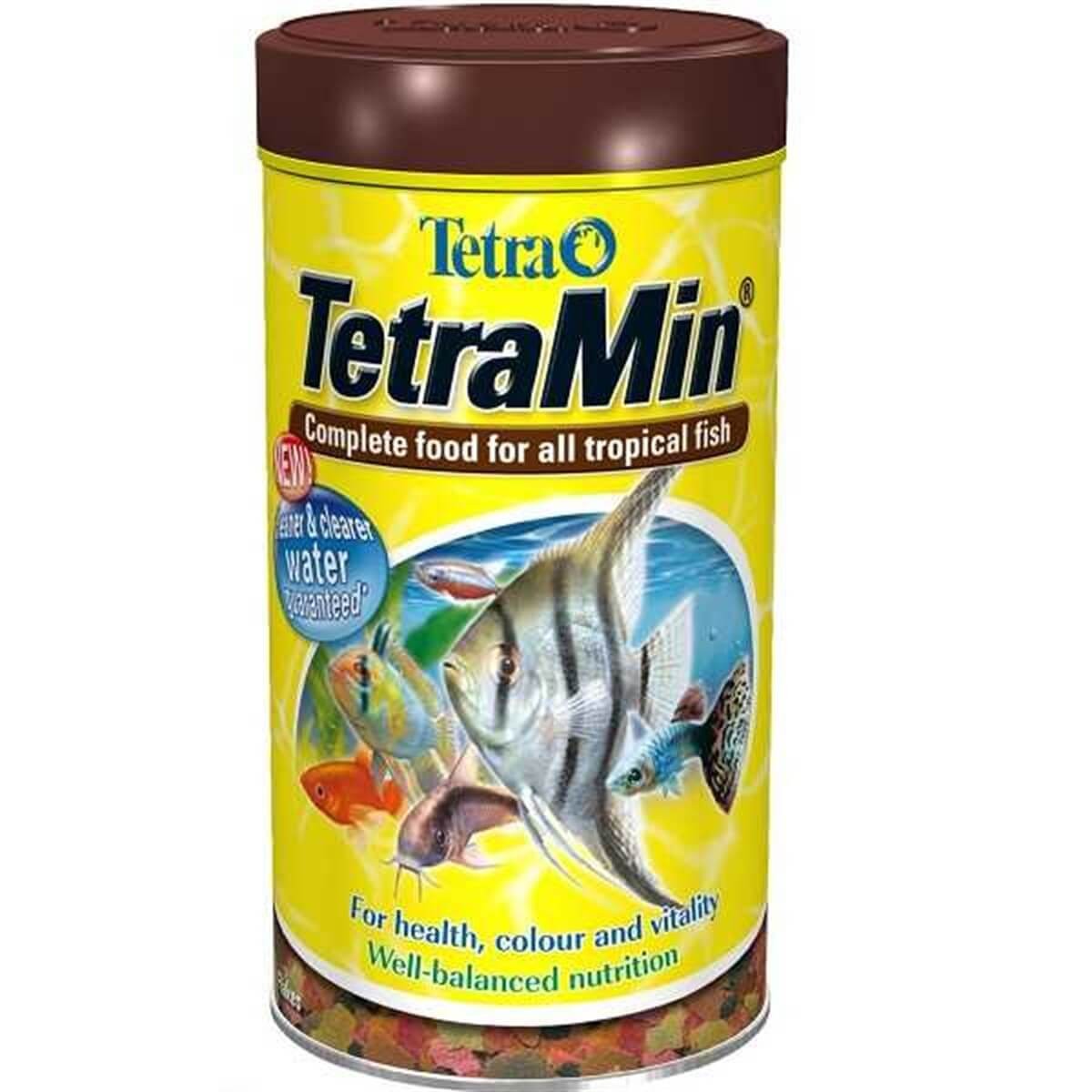 Tetra Tetramin Balık Yemi 250 Ml