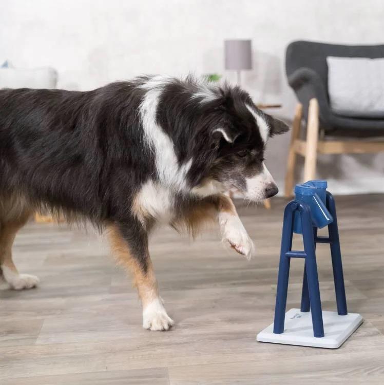 Trixie Köpek Geri Dön Strareji Oyunu 22X33X18 Cm, Köpek Eğitim ve Zeka Oyuncakları, Trixie