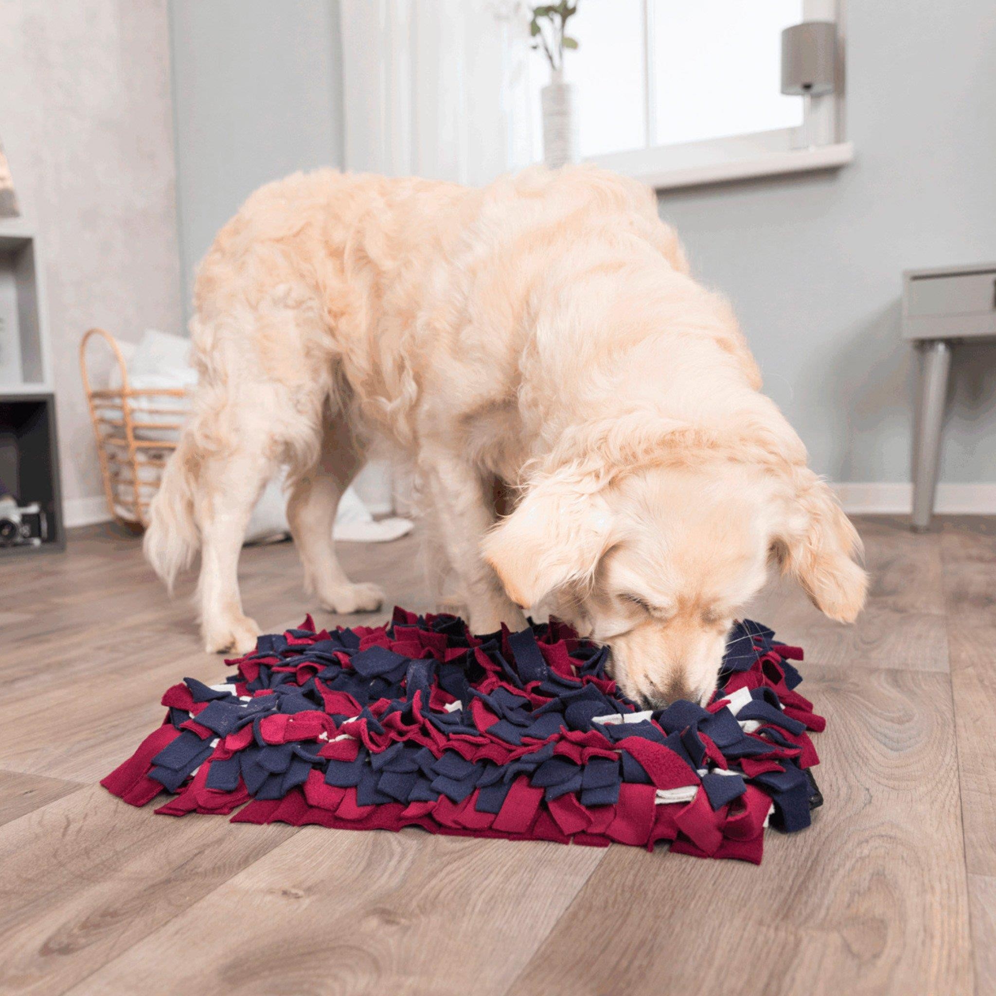 Trixie Köpek Koklama Halısı Stratesji Oyunu 50x34  cm, Köpek Eğitim ve Zeka Oyuncakları, Trixie