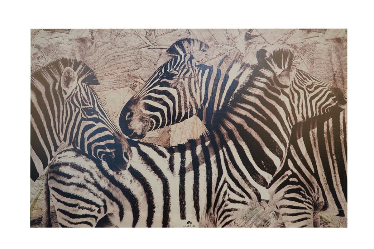 Zebra Desenli Ahşap Duvar Panosu