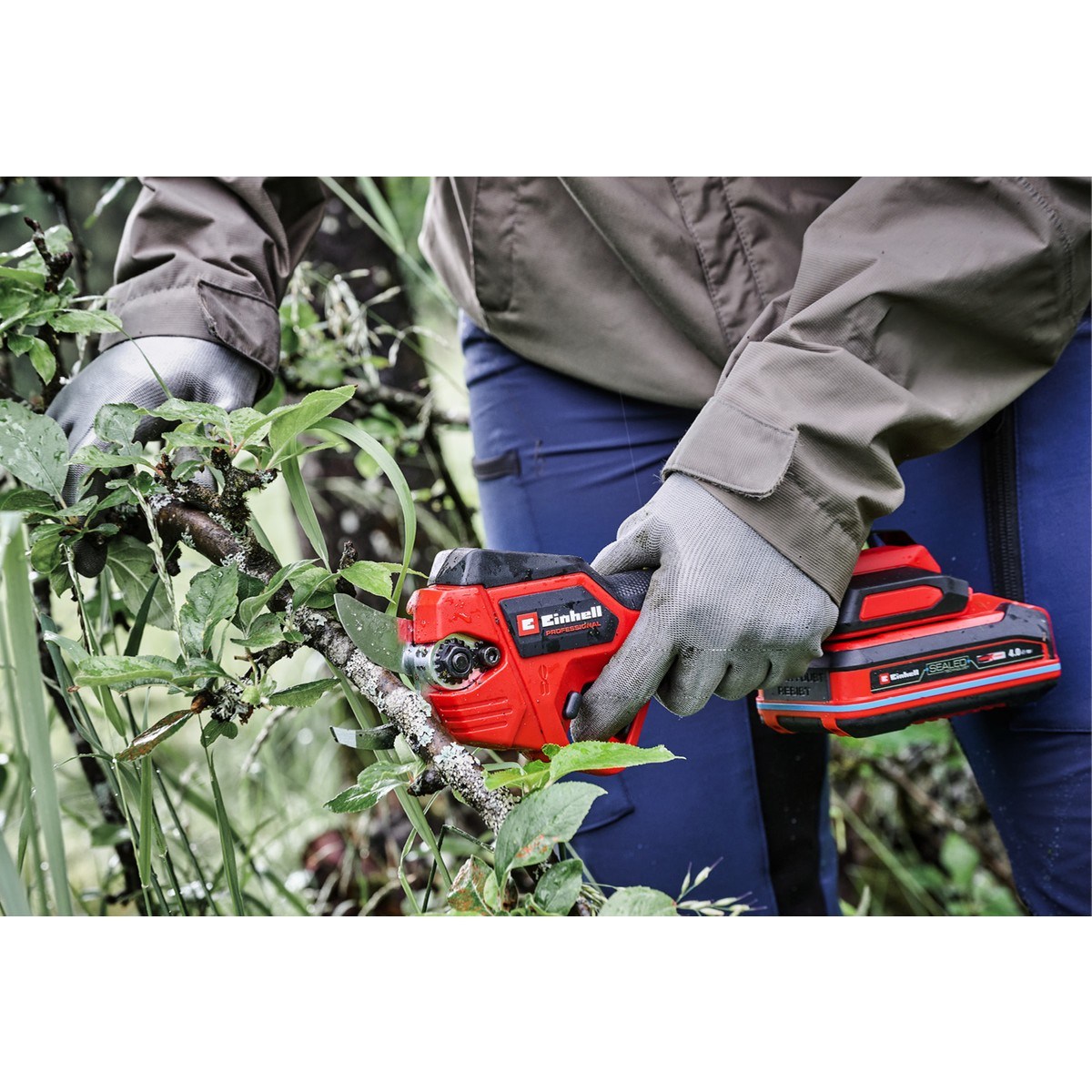  Einhell El Aletleri Einhell 3408320 Kale Kilit  GP-LS 18/28 Li BL-Solo - Akülü Dal Budama Makası 