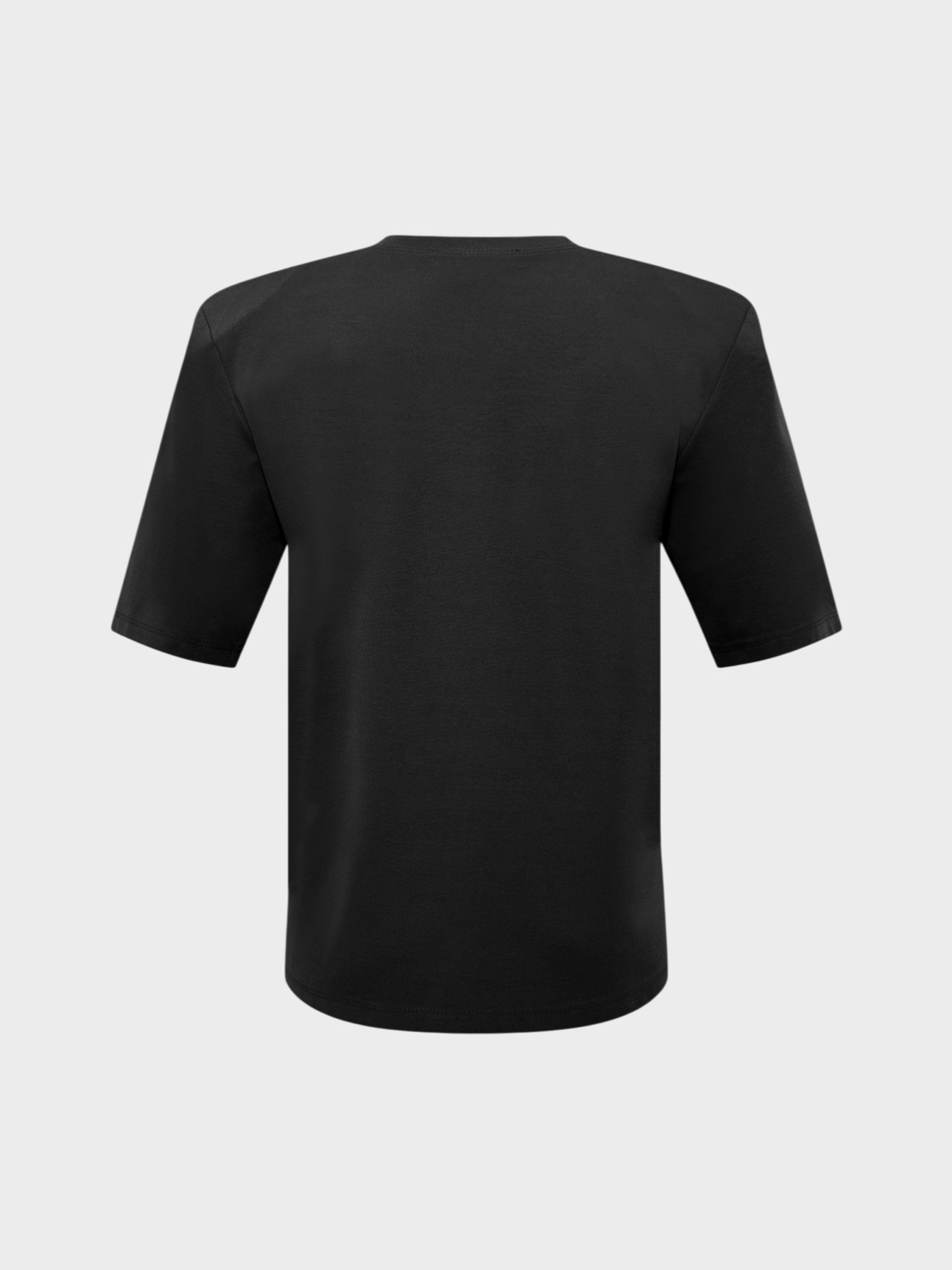 Kadın, Bayan Premium Yumuşak Tuşeli Vatkalı T-Shirt - Siyah T-shirt Modelleri