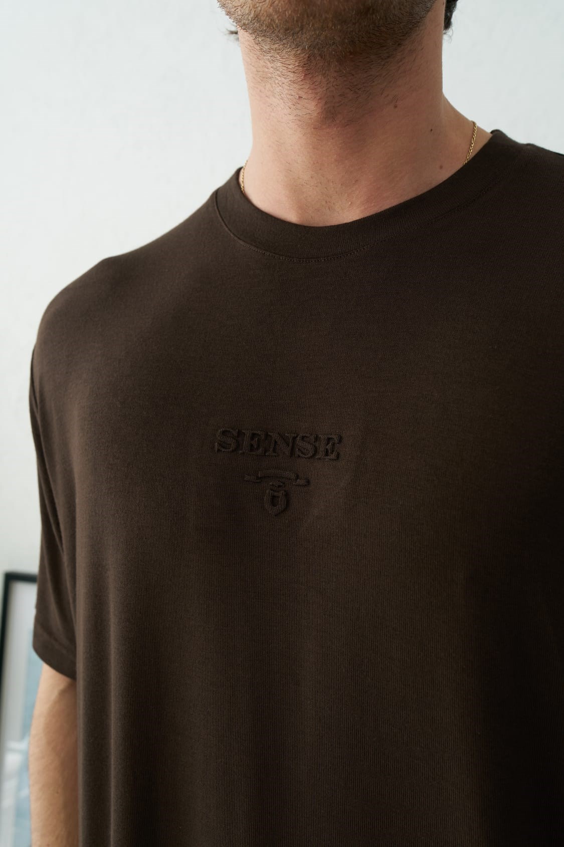 Wholesale Men's Brown T-Shirt 1601S26-2740