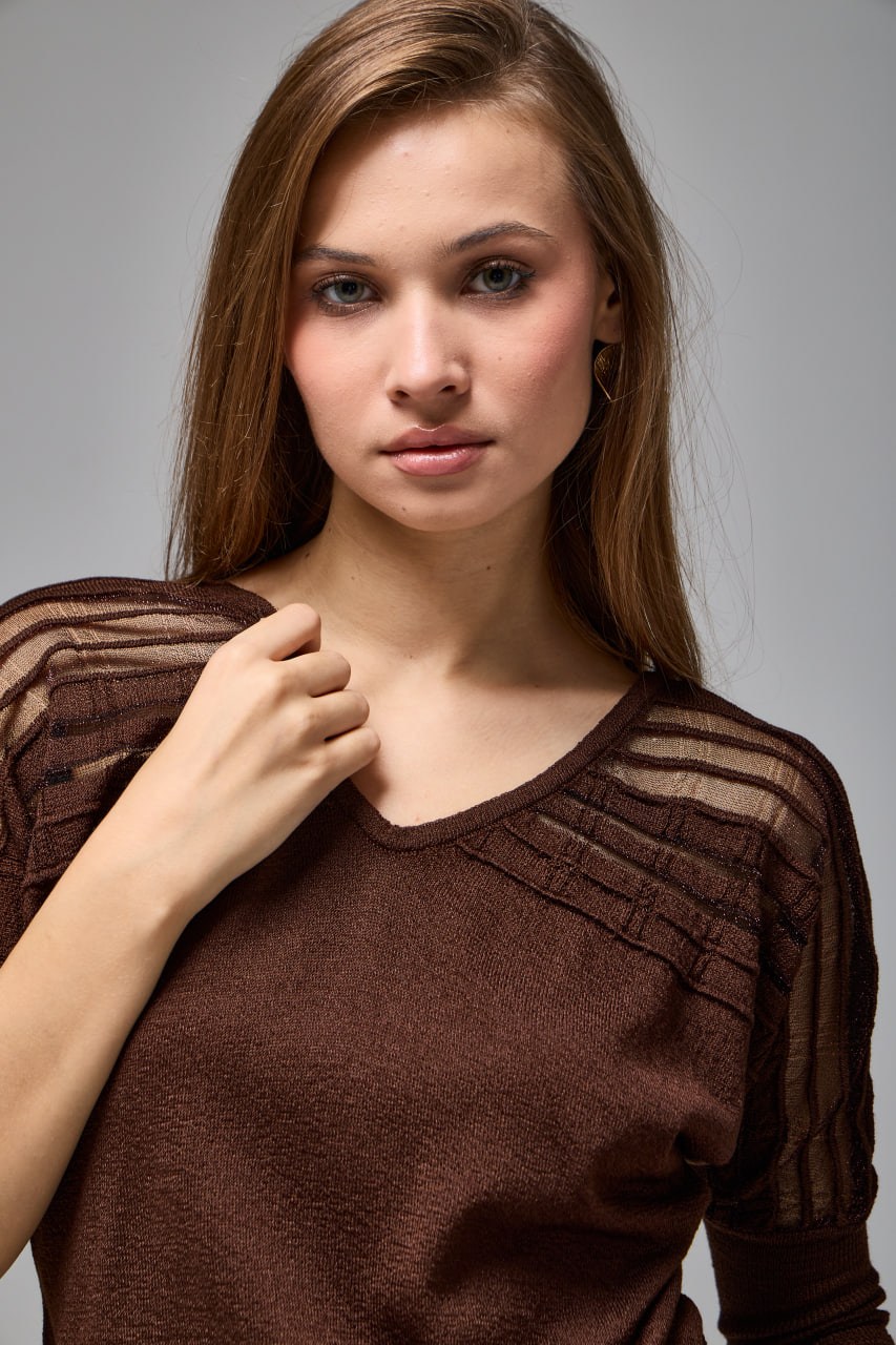 Wholesale Women's Brown Lurex-Thread Textured Yoke Knit Sweater 0037-3713
