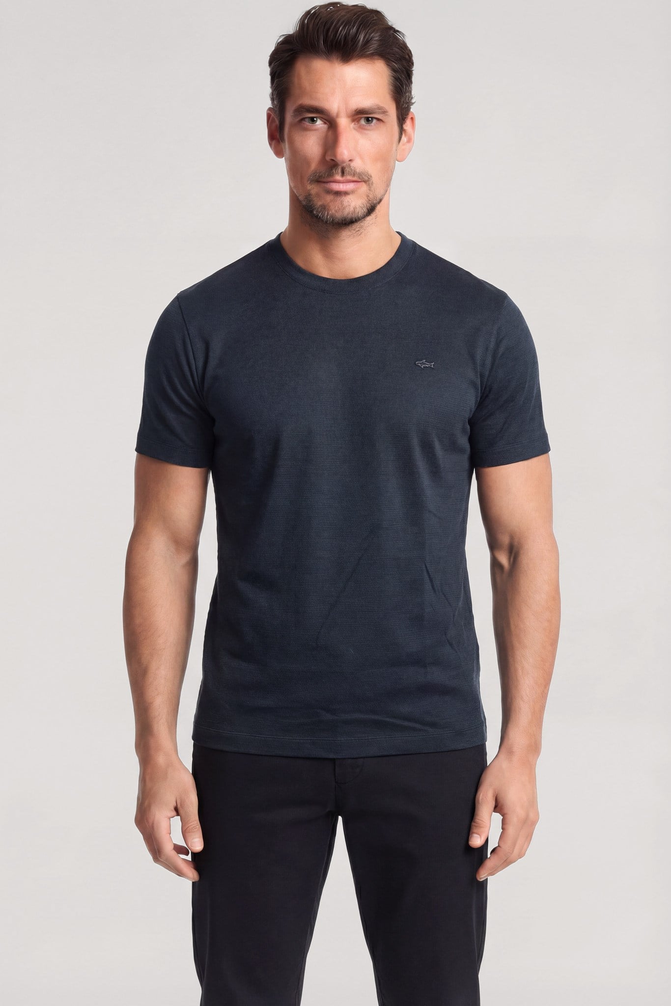 Paul Shark Paul Shark Erkek Dokuma Kumaş Düz Bisiklet Yaka Lacivert T-Shirt 25411026SMA-013