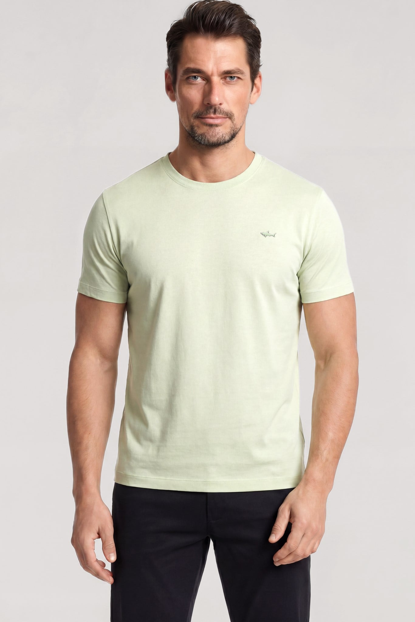 Paul Shark Paul Shark Erkek Dokuma Kumaş Düz Bisiklet Yaka Yeşil T-Shirt 25411026SM-574