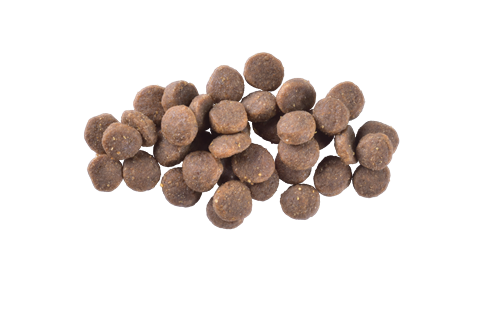 Brit Care Deri Ve Tüy Hassasiyeti Olan Yavru Köpekler İçin, Tahılsız, Somonlu Kuru Mama 3 kg