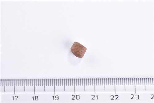 Brit Care Yavru Kediler İçin, Tahılsız, Hipoalerjenik, Taze Somonlu Kuru Mama 2 kg