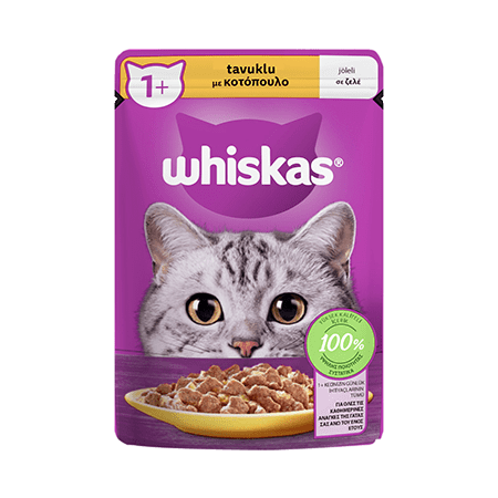 Whiskas Tavuklu 28 X85gr