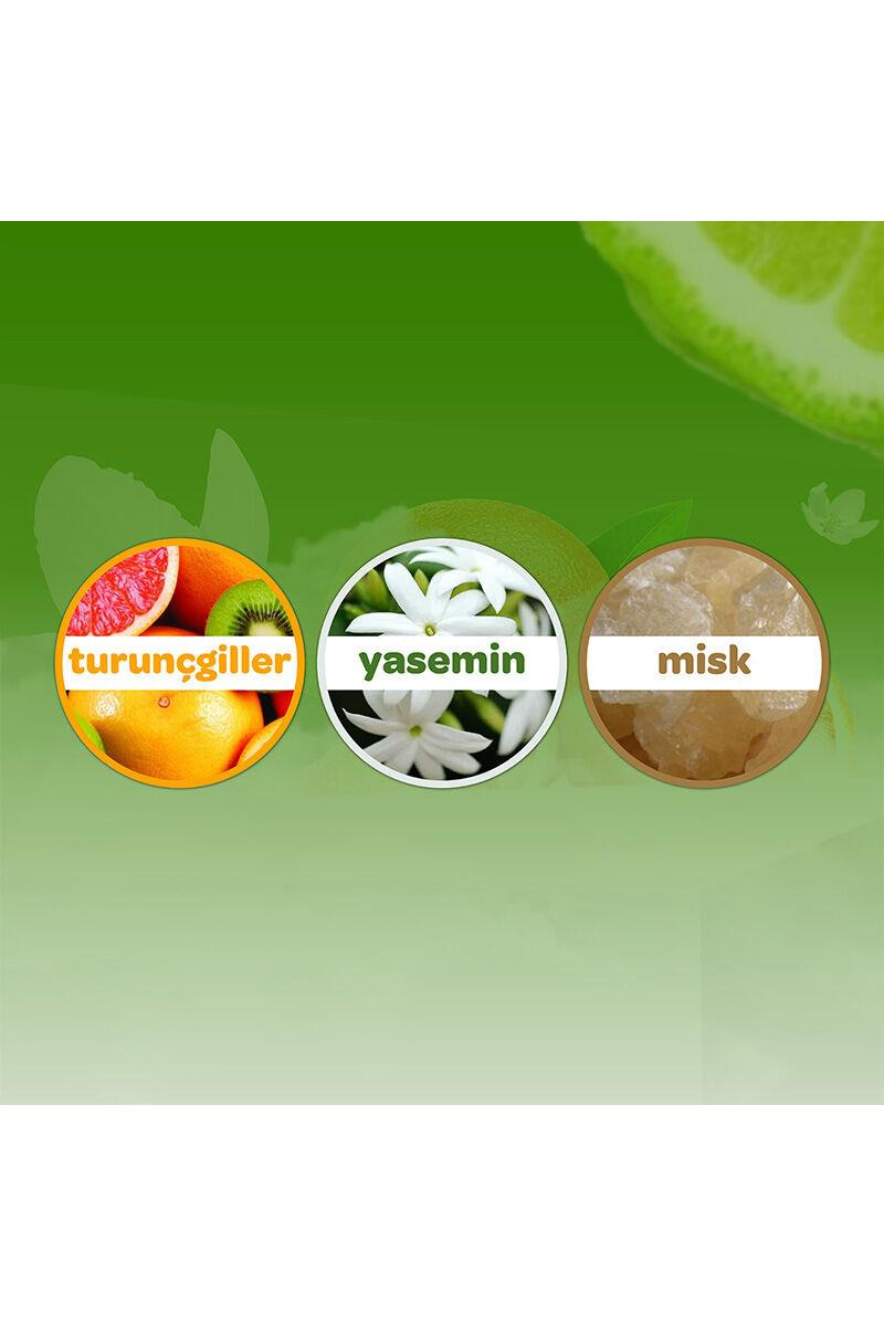 DalinDalin Bebek Kolonyası Orman Esintisi 100 mlDalin Bebek Kolonyası Orman Esintisi 100 ml Fiyatı ve Özellikleri | Mutlufiyatlar