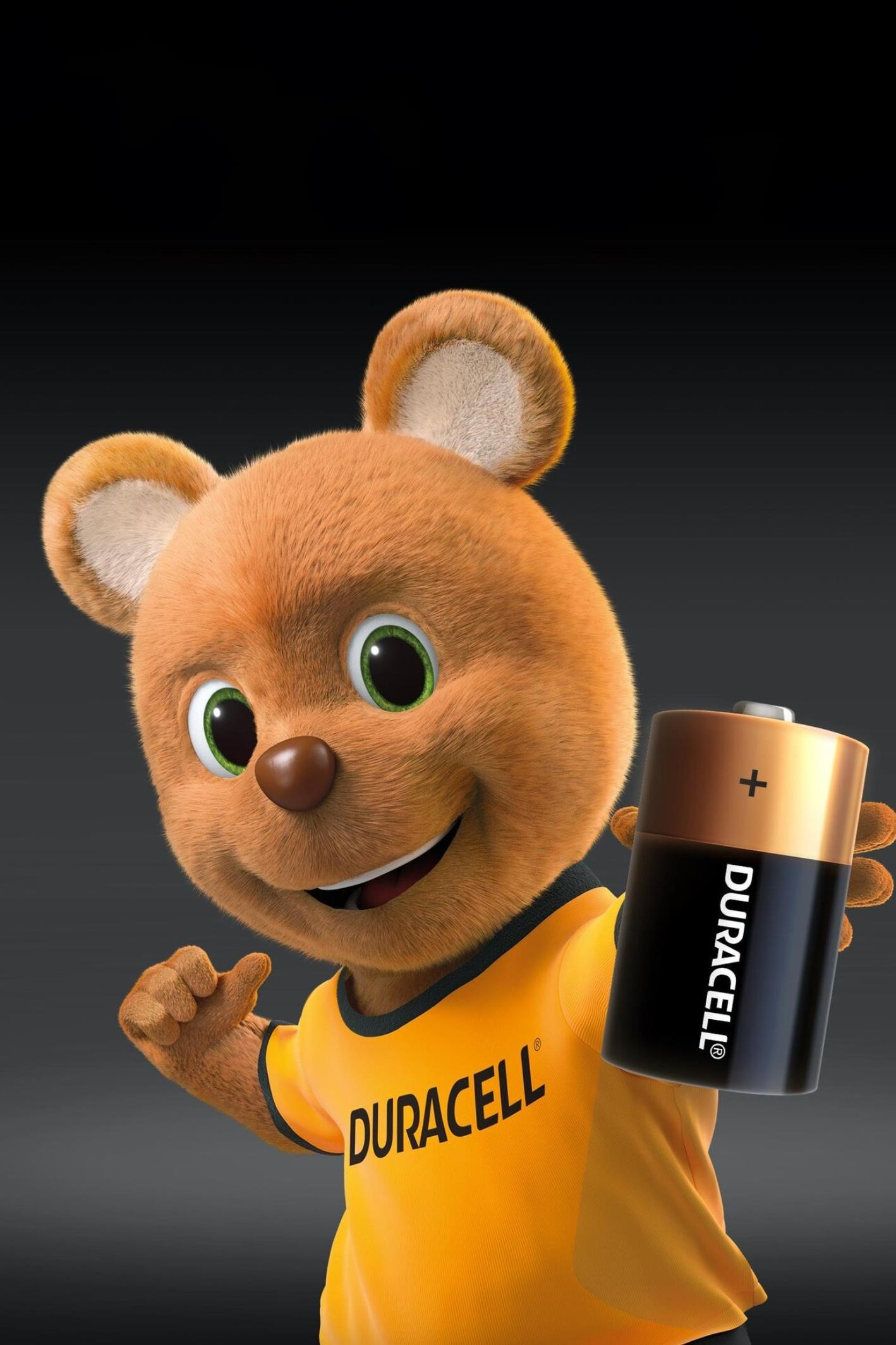 DuracellDuracell D Büyük Pil 2 AdetDuracell D Büyük Pil 2li Fiyatı ve Özellikleri | Mutlufiyatlar