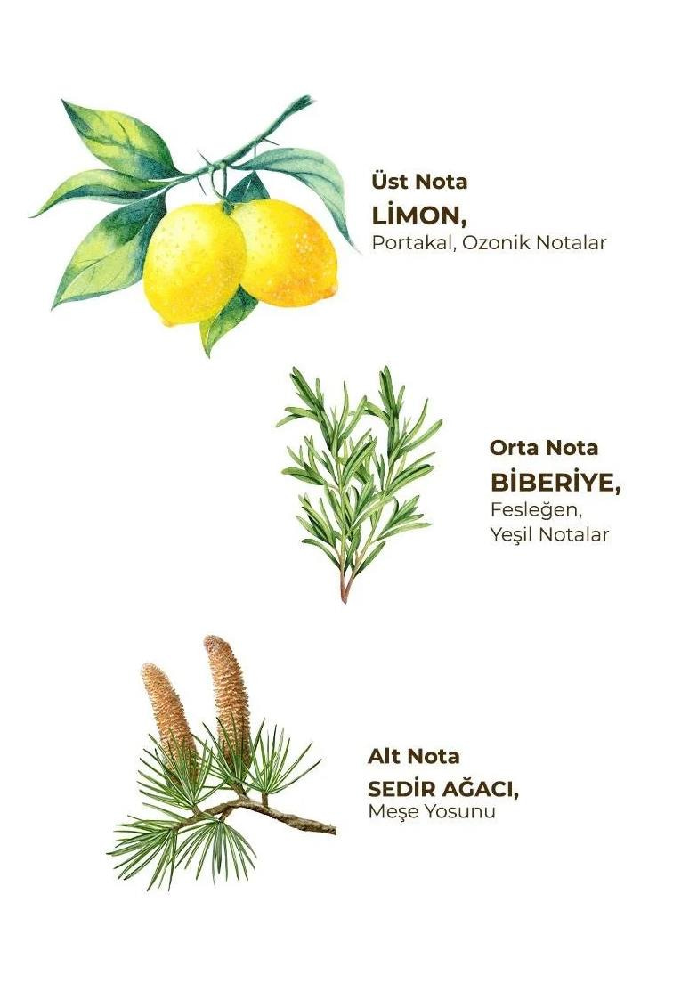 Eyüp Sabri Tuncer Eyüp Sabri Tuncer Kolonya Yağmur Ormanları 400 ml Pet Şişe Eyüp Sabri Tuncer Yağmur Ormanları Kolonyası Pet Şişe 400 ml Fiyatı ve Özellikleri | Mutlufiyatlar