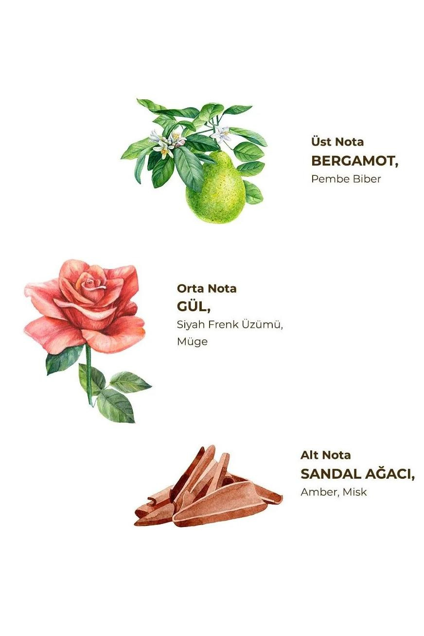 Eyüp Sabri Tuncer Eyüp Sabri Tuncer Kolonya Manolya Çiçeği 400 ml Pet Şişe Eyüp Sabri Tuncer Manolya Çiçeği Kolonyası Pet Şişe 400 ml Fiyatı ve Özellikleri | Mutlufiyatlar