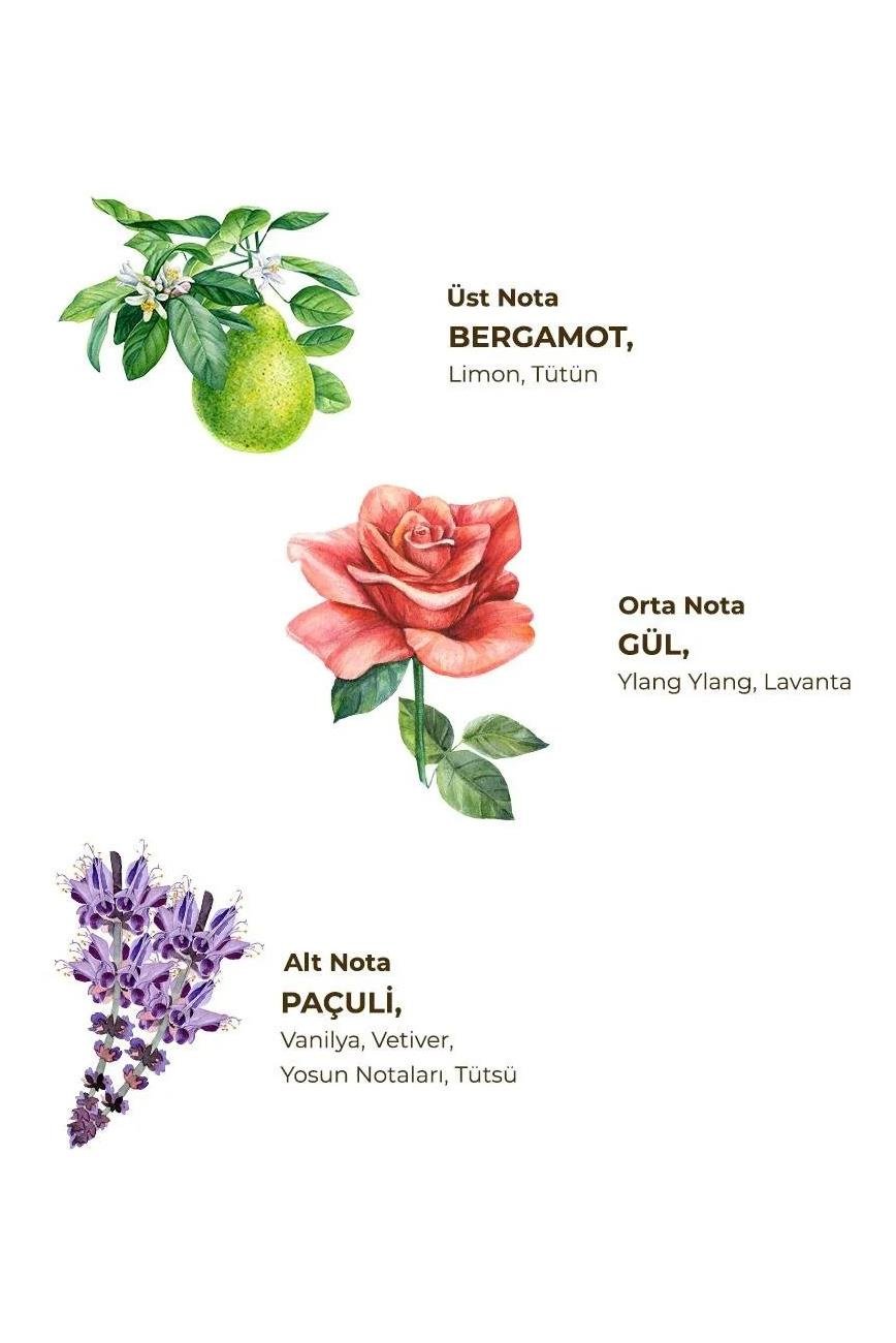 Eyüp Sabri Tuncer Eyüp Sabri Tuncer Kolonya Tütün 1 ltEyüp Sabri Tuncer Tütün Kolonyası 1000 ml Fiyatı ve Özellikleri | Mutlufiyatlar