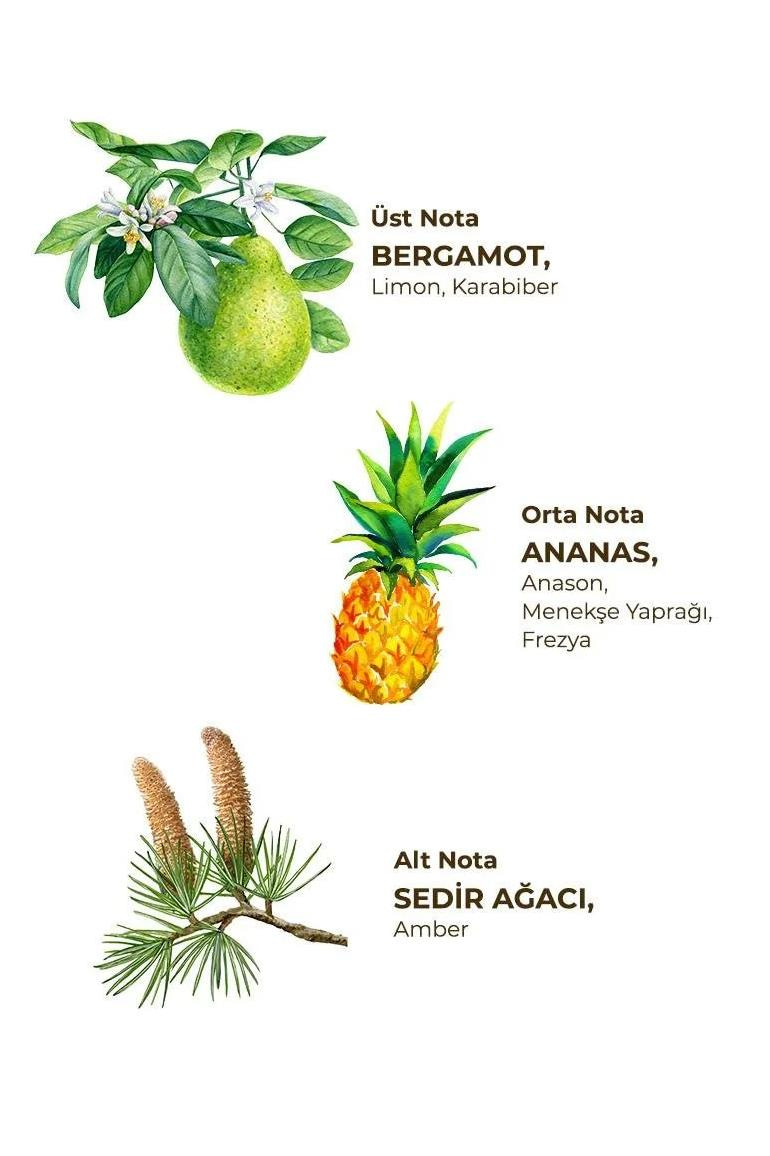 Eyüp Sabri Tuncer Eyüp Sabri Tuncer Kolonya Okyanus Sprey 150 ml Pet Şişe Eyüp Sabri Tuncer Okyanus Kolonyası Pet Şişe Sprey 150 ml Fiyatı ve Özellikleri | Mutlufiyatlar