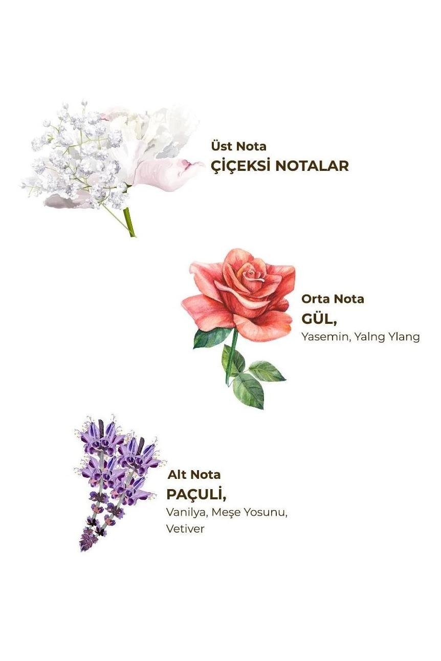 Eyüp Sabri Tuncer Eyüp Sabri Tuncer Sprey Kolonya Paris Gecesi 150 mlEyüp Sabri Tuncer Sprey Kolonya - Paris Gecesi 150 ml Fiyatı ve Özellikleri | Mutlufiyatlar