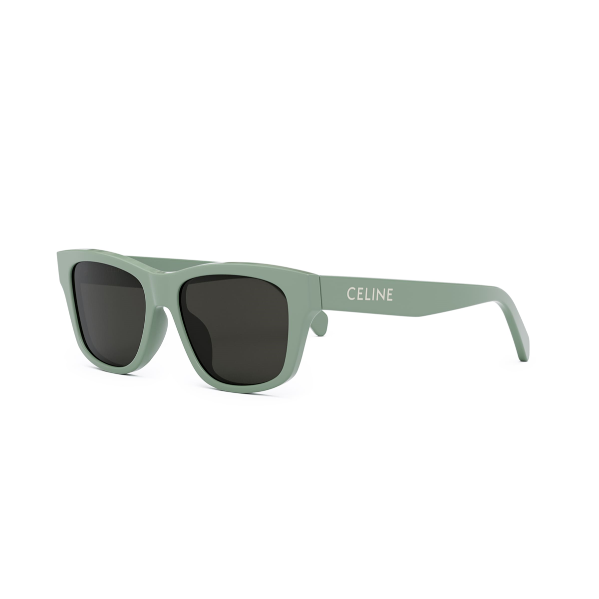 Celine Monochroms 05 CL 40249U 95A