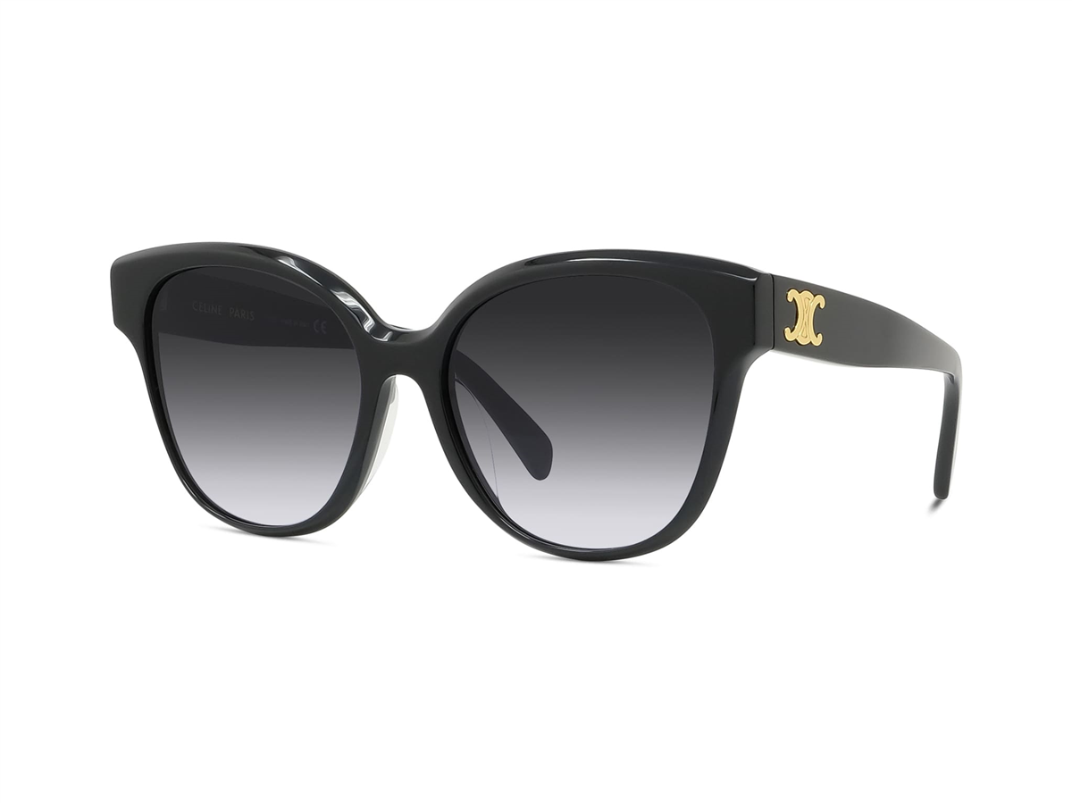 Celine Triomphe CL 40204F 01W