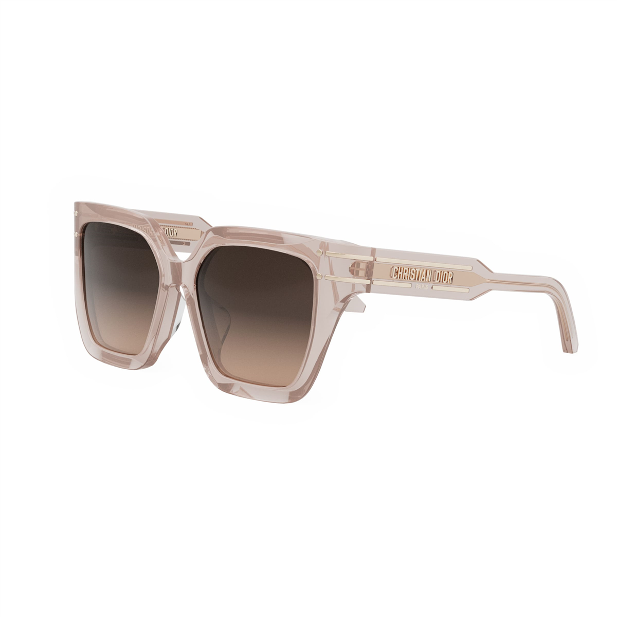 Dior DiorSignature S10F CD 40131F 72K