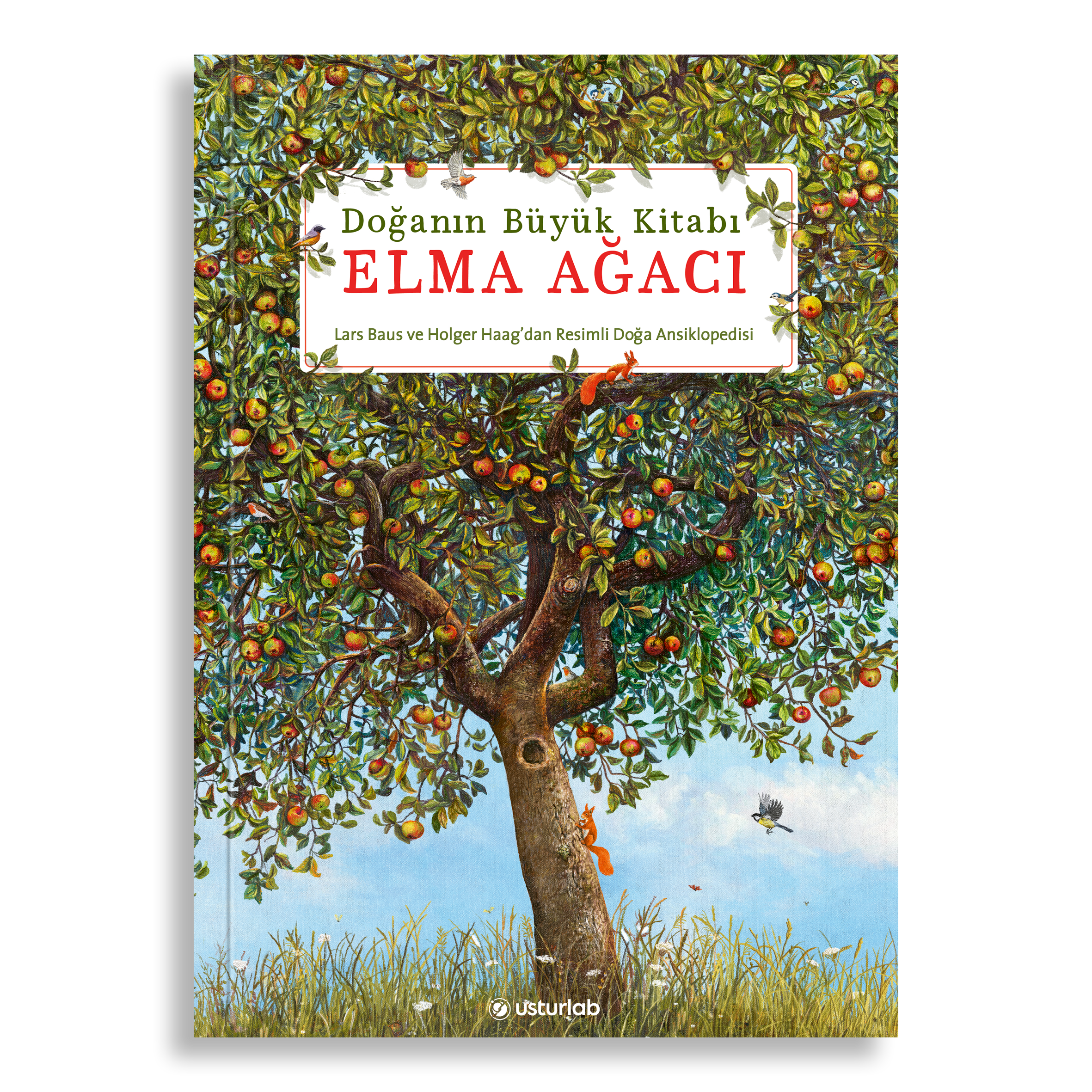 Doğanın Büyük Kitabı Elma Ağacı