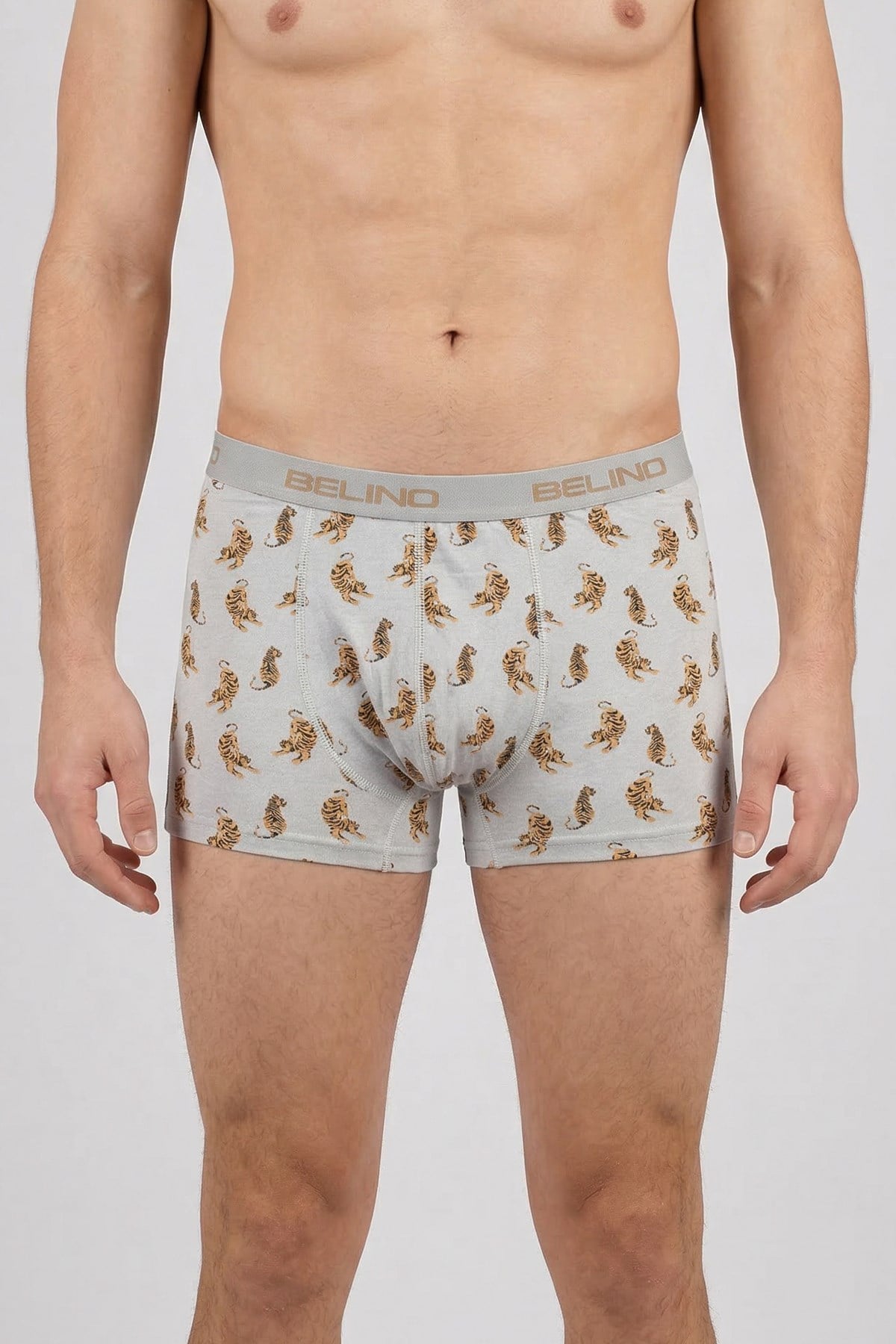 Desenli Erkek Boxer- Tiger Power