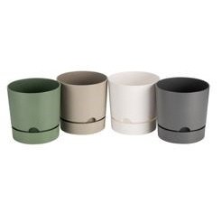 begonya-21-yesil-5-lt-b-21sy-saksi-9d9-7d.jpg
