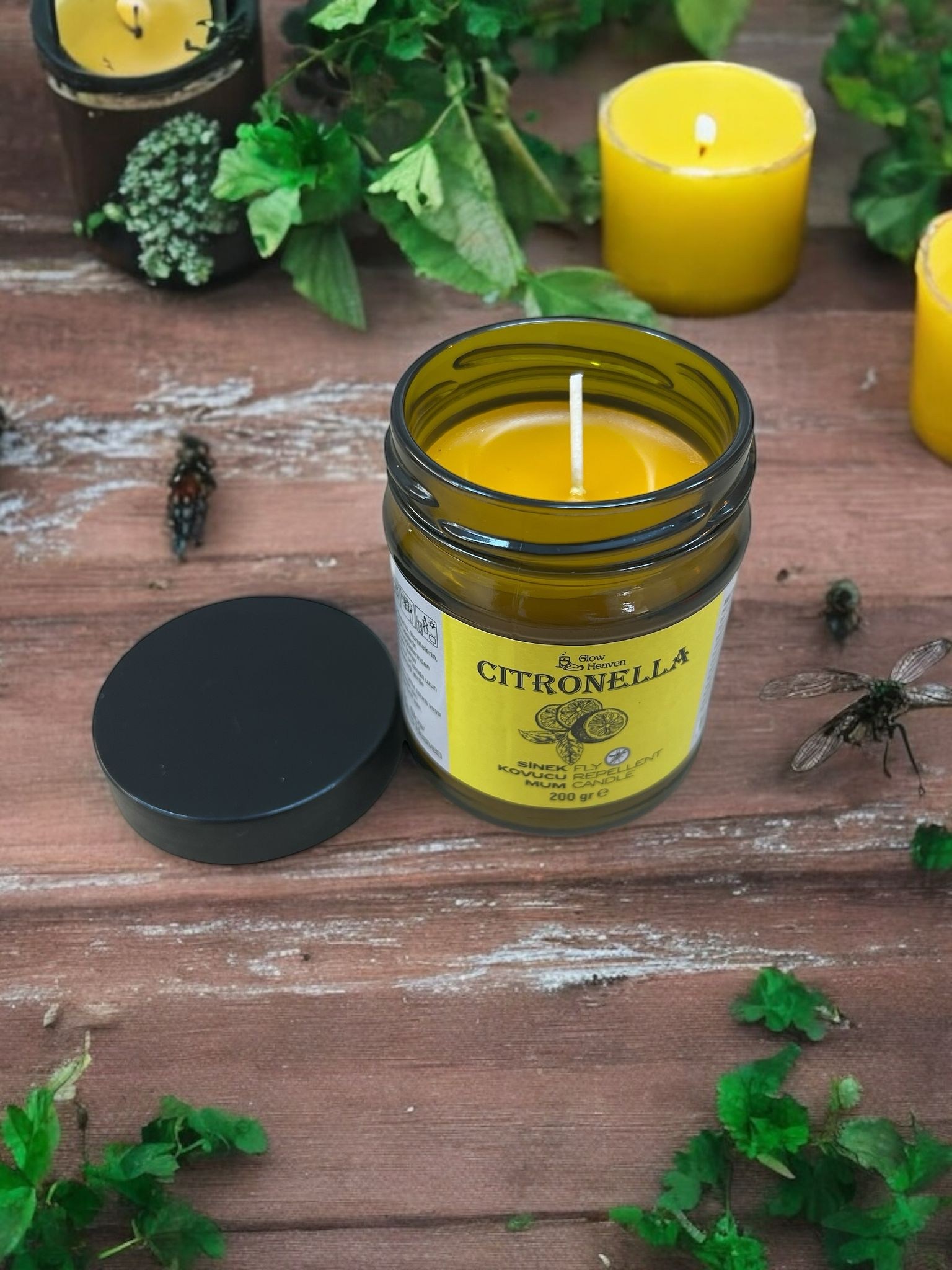 Citronella Sinek Kovucu Mum -Gh036-Kns