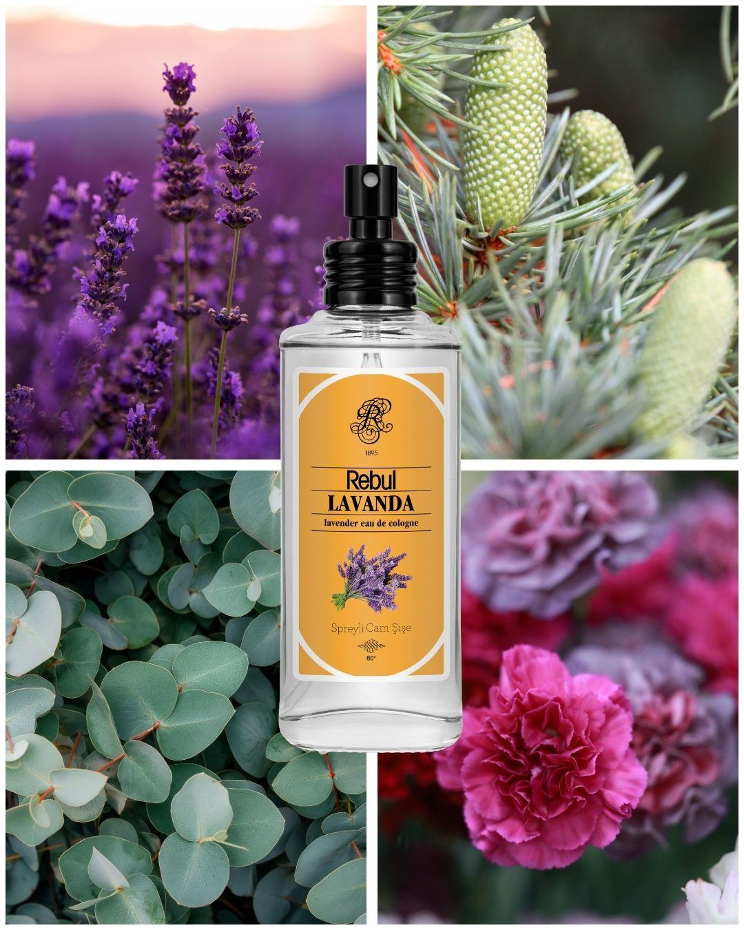 Rebul Lavanda EDC Kolonya 100 ml Cam Şişe