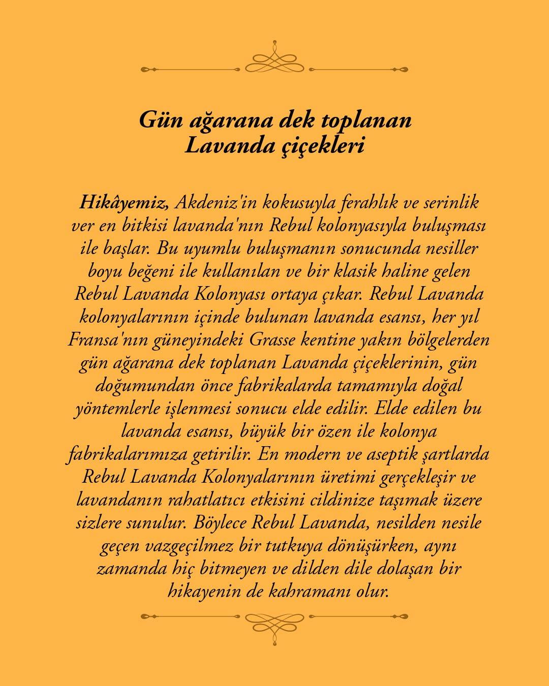 Rebul Lavanda EDC Kolonya 125 ml Pet Şişe
