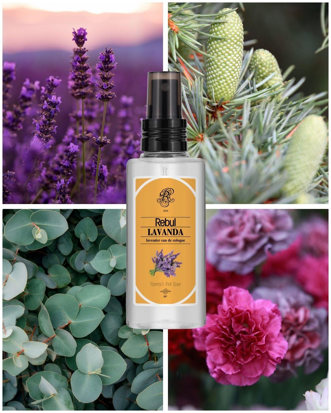 Rebul Lavanda EDC Kolonya 125 ml Pet Şişe