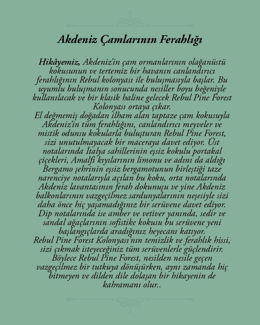 Rebul Pine Forest EDC Kolonya 125 ml Pet Şişe