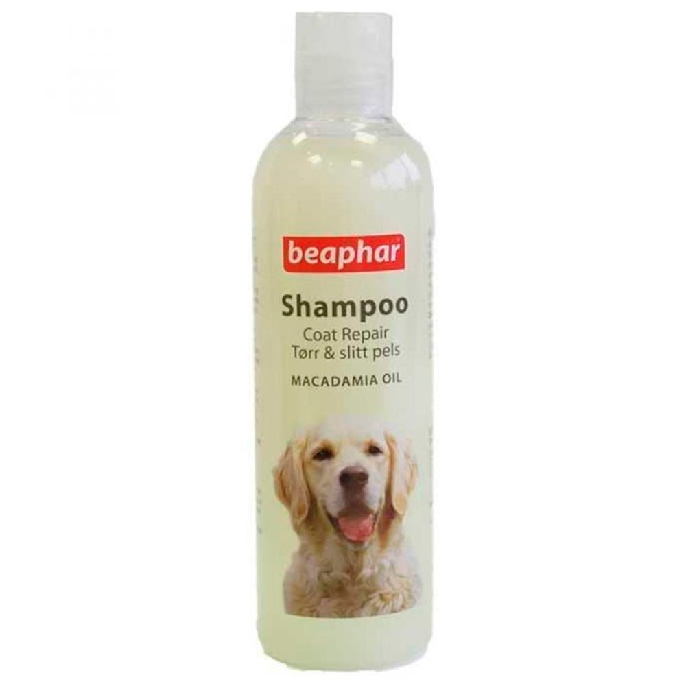 Beaphar Macadamia Yağlı Köpek Şampuanı 250 ml 8711231109036 Amazon Pet Center