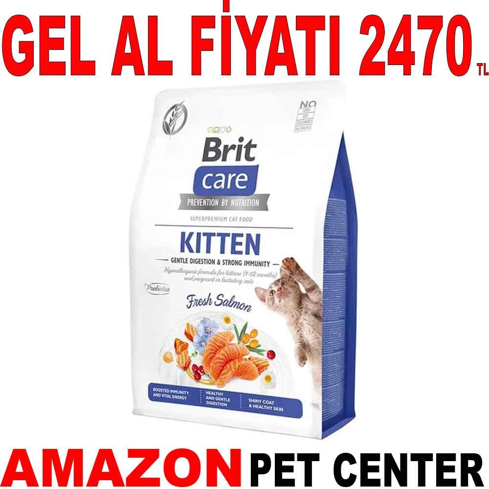 Brit Care Cat Grain-Free Kitten Gentle Digestion & Strong Immunity Tahılsız Somonlu Yavru Kedi Maması 7 Kg Gel Al 17987004 Amazon Pet Center