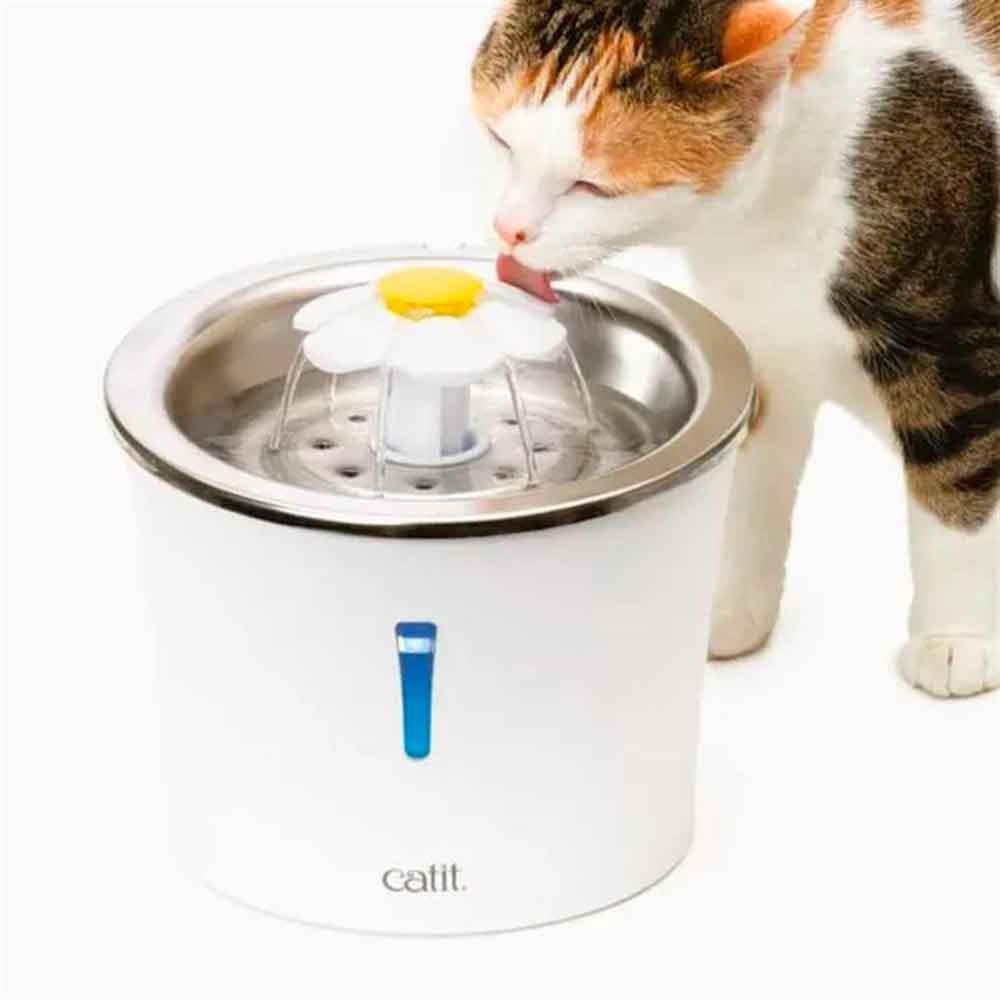 Catit Paslanmaz Çelik Kedi Çeşmesi 015561013574 Amazon Pet Center