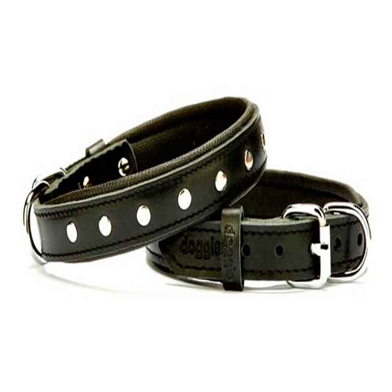 Doggie Comfort Rivetli Deri Boyun Tasması 2011 M Black 8680782100567 Doggie Köpek Boyun Tasmaları Amazon Pet Center