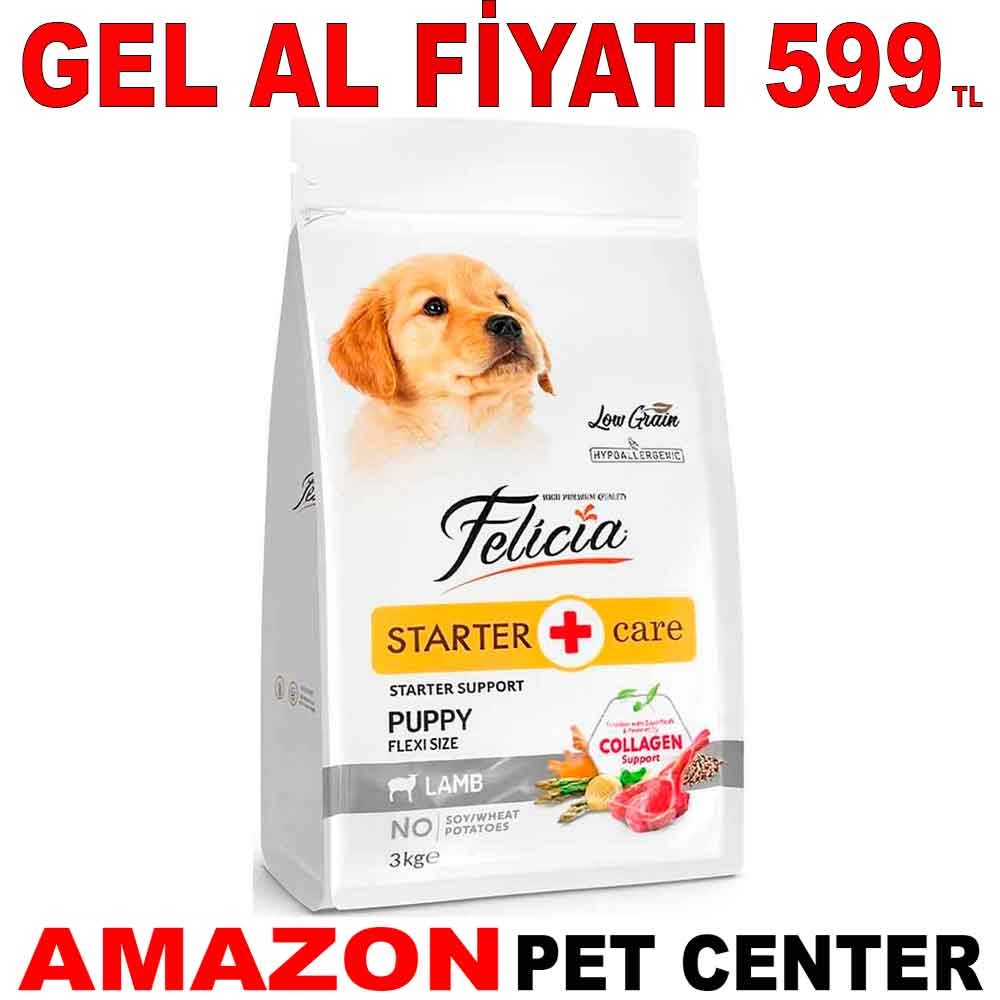 Felicia Yavru Köpek Maması Kuzulu S/M Az Tahıllı 3 Kg Gel Al 18261004 Amazon Pet Center