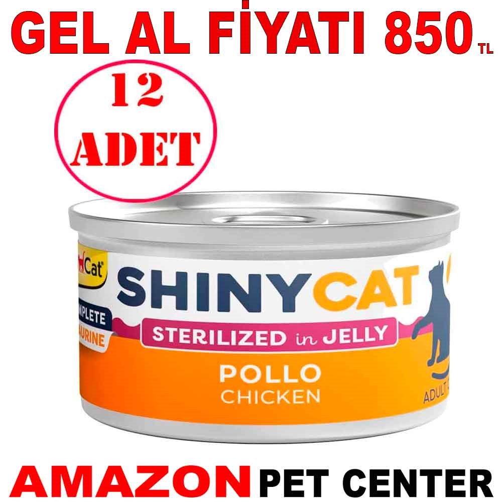 Gimcat Shinycat Kısır Kedi Konservesi Tavuklu 70 Gr 12 AD Gel Al 22065001 Amazon Pet Center