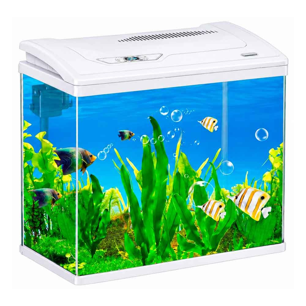 Makro İthal Akvaryum Seti Beyaz 60,5 Cm 320 x 540 Mm Bombeli 35014874 Amazon Pet Center