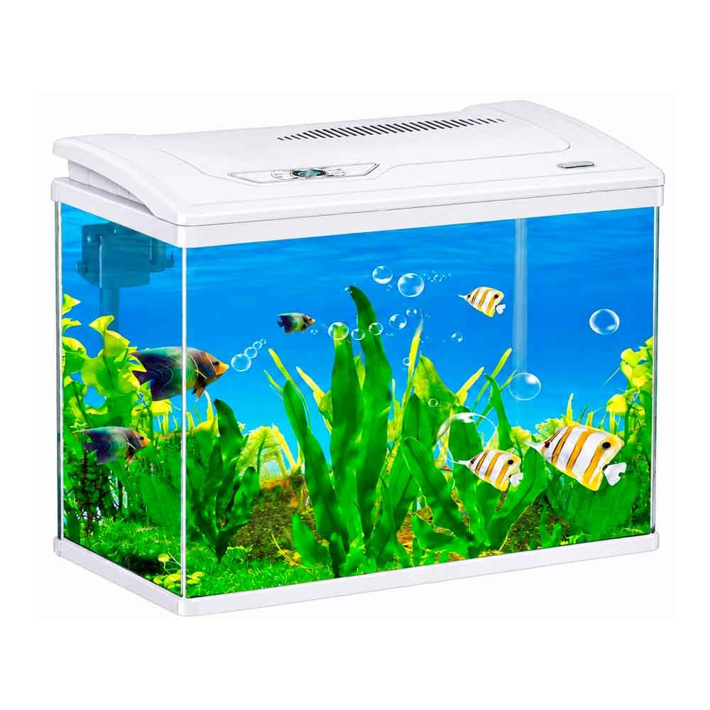 Makro İthal Akvaryum Seti Beyaz 80 x 34 x 60 cm Bombeli 35015031 Amazon Pet Center