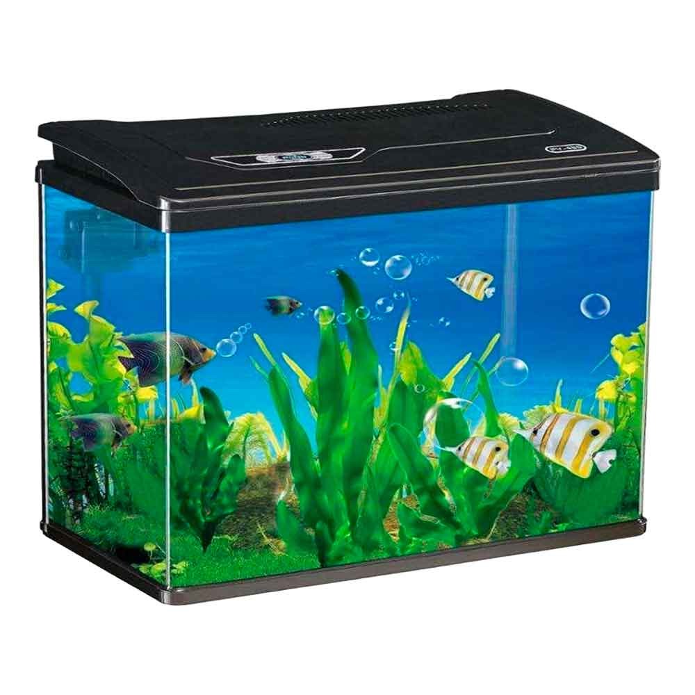 Makro İthal Akvaryum Seti Siyah 38 Cm 23 x 39 Cm Bombeli 35014997 Amazon Pet Center