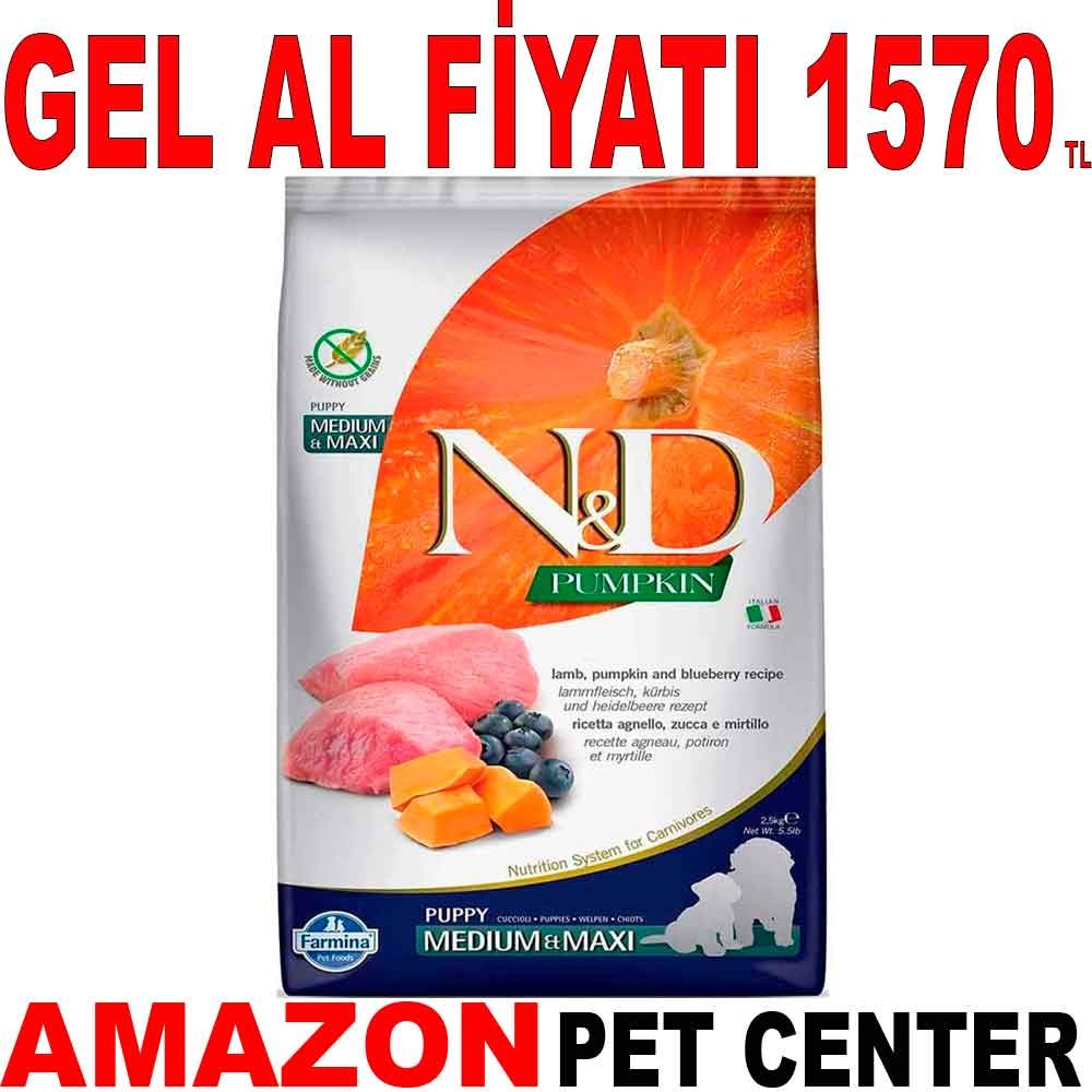 N&D Bal Kabaklı Kuzulu ve Yaban Mersinli Orta ve Büyük Irk Tahılsız Yavru Köpek Maması 2,5 kg Gel Al 18605006 Amazon Pet Center