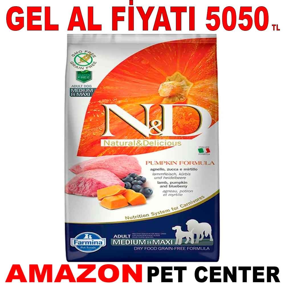 ND Balkabaklı Kuzu Etli Medium Maxi Tahılsız Köpek Maması 12 Kg Gel Al 19696003 Amazon Pet Center
