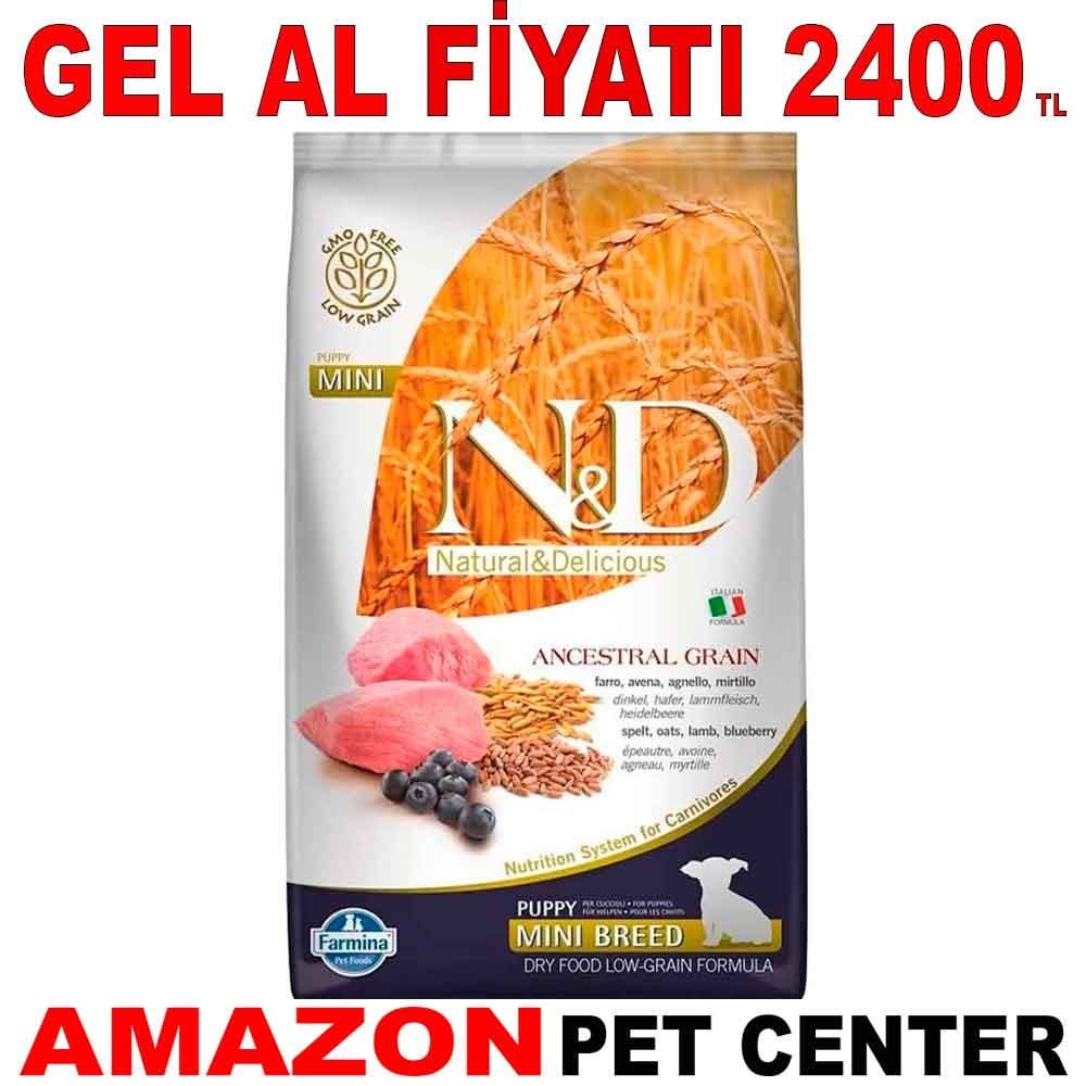 ND Düşük Tahıllı Küçük Irk Yavru Köpek Maması Kuzu Etli 7 Kg Gel Al 18622003 Amazon Pet Center